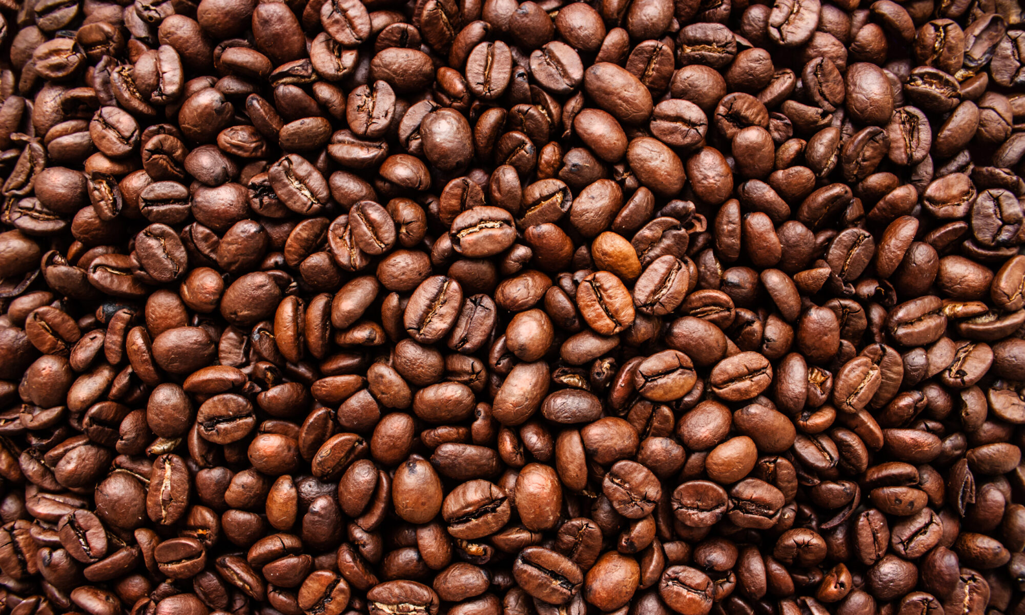Bali Blue Moon Dark Roast Coffee Beans – 5 Lbs (Packaged In 5 X 1lb Bags)